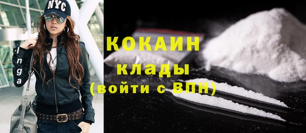 индика Алзамай