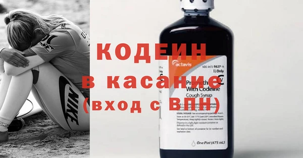 индика Алзамай
