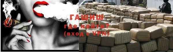 индика Алзамай