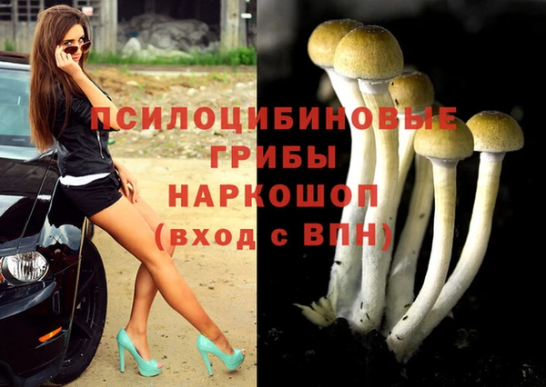 индика Алзамай