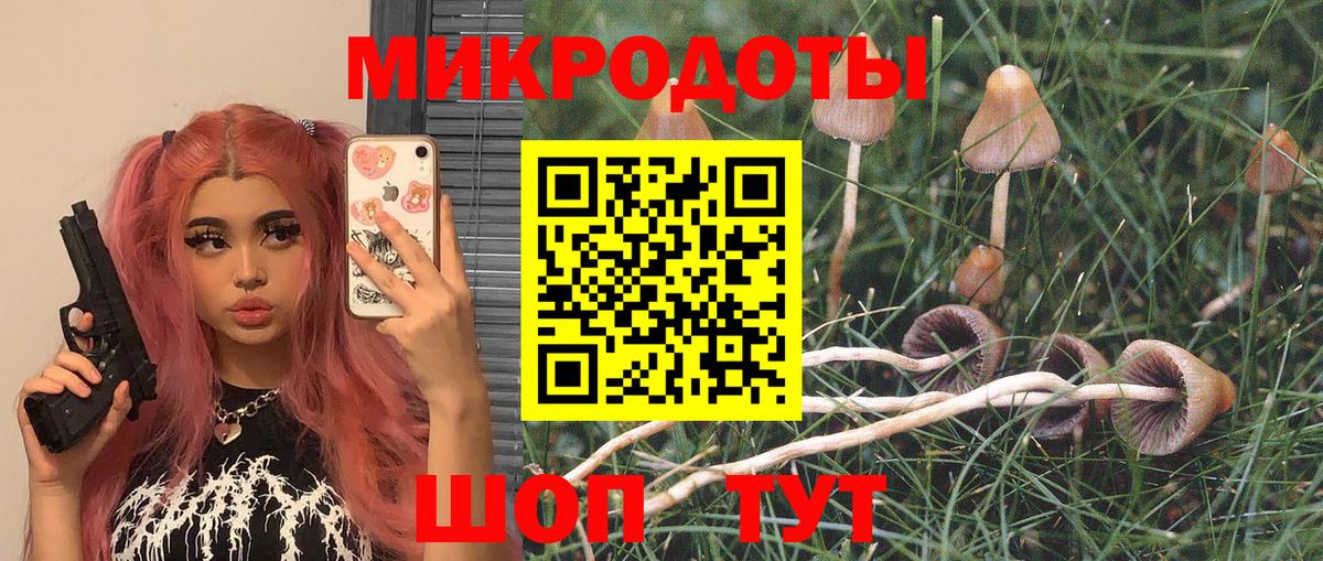 Псилоцибиновые грибы мицелий Старая Купавна